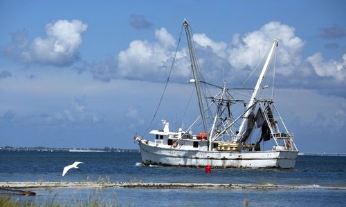 Photograph of a white ship on the waters of the Gulf Coast