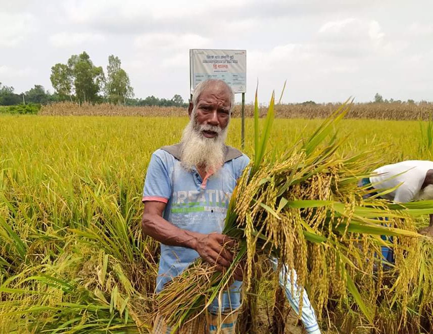 The family of Hamidul Islam grows zinc rice introduced by HarvestPlus and World Vision through the ENRICH project, which was launched to reduce maternal and child mortality by addressing malnutrition within the first 1,000 days of life.