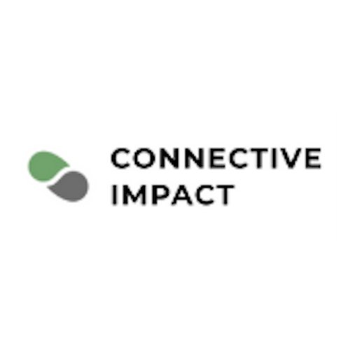 Connective Impact Logo